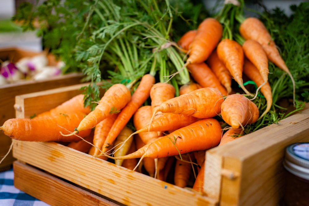 tout savoir sur la carotte