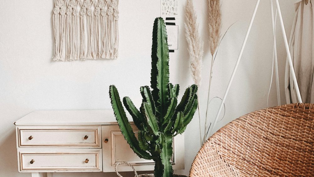 Pour votre intérieur, craquez pour le style bohème